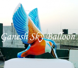 Bird Shape Sky Balloons Services in Sultan Puri Delhi India