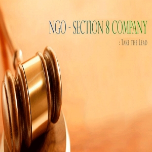 Section 8 Company Registration (ngo)