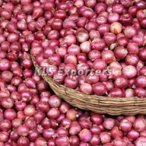 Small Red Onion