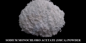 Manufacturers Exporters and Wholesale Suppliers of Sodium Monochloro Acetate Rajkot Gujarat