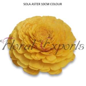 Manufacturers Exporters and Wholesale Suppliers of SOLA ASTER 10CM COLOUR Kolkata West Bengal