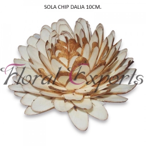 Manufacturers Exporters and Wholesale Suppliers of SOLA CHIP DALIA 10CM Kolkata West Bengal