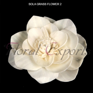 Manufacturers Exporters and Wholesale Suppliers of SOLA GRASS FLOWER Kolkata West Bengal