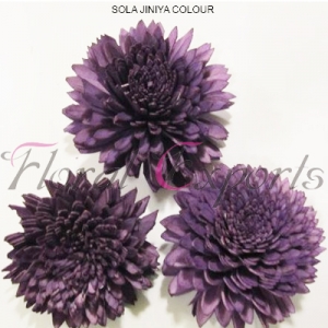 Manufacturers Exporters and Wholesale Suppliers of SOLA JINIYA COLOUR Kolkata West Bengal