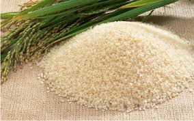 SONA MASOORI RICE Manufacturer Supplier Wholesale Exporter Importer Buyer Trader Retailer in Nagpur Maharashtra India