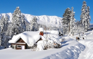 Service Provider of SRINAGAR SONMARG GULMARG PAHALGAM SRINAGAR Manali Himachal Pradesh