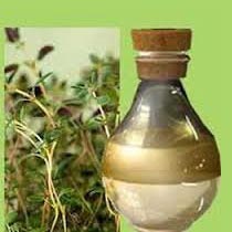 Sugandh Mantri Oil Manufacturer Supplier Wholesale Exporter Importer Buyer Trader Retailer in Lucknow Uttar Pradesh India