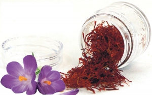 Kashmiri saffron Manufacturer Supplier Wholesale Exporter Importer Buyer Trader Retailer in Srinagar Jammu & Kashmir India