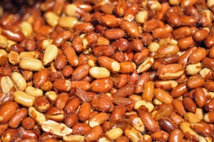Manufacturers Exporters and Wholesale Suppliers of Salted Peanuts With Skin Mumbai Maharashtra