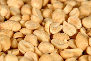Manufacturers Exporters and Wholesale Suppliers of Salted Peanuts Mumbai Maharashtra Salted Peanuts