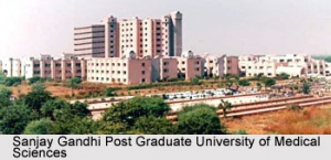 Service Provider of Sanjay Gandhi Post Graduate University Delhi Delhi