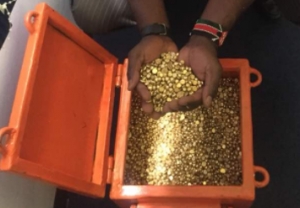 Manufacturers Exporters and Wholesale Suppliers of Gold Bar/ Nuggets Nairobi 