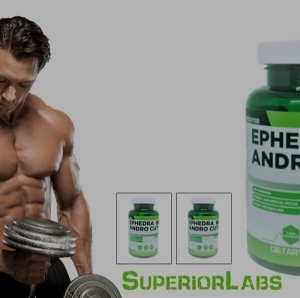 Manufacturers Exporters and Wholesale Suppliers of EPHEDRA ANDRO CUT Ghaziabad Uttar Pradesh