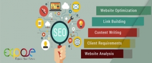 Service Provider of Search Engine Optimization (SEO) Training New Delhi Delhi