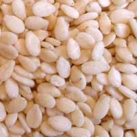 Sesame Seeds Manufacturer Supplier Wholesale Exporter Importer Buyer Trader Retailer in Ahmedabad Gujarat India