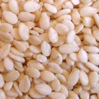 Sesame Seeds