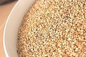 Organic & Roasted Sesame Seed (Til Seeds) Manufacturer Supplier Wholesale Exporter Importer Buyer Trader Retailer in Rajkot Gujarat India