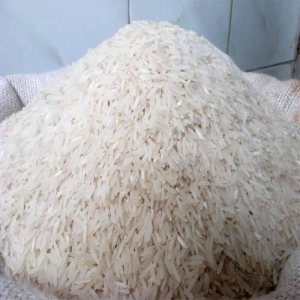 Sharbati Steam Basmati Rice Services in KANGRA Himachal Pradesh India