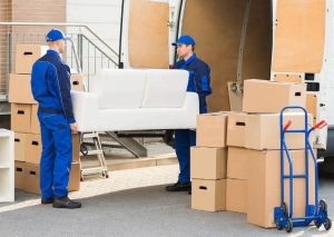 Shifting Services Services in Ponda  India