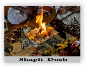 Service Provider of Shrapit Dosha Yoga Ahmedabad Gujarat