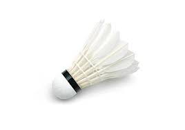 Manufacturers Exporters and Wholesale Suppliers of Shuttlecock Delhi Delhi