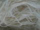 Manufacturers Exporters and Wholesale Suppliers of Sisal Fiber UG Grade Nairobi Nairobi