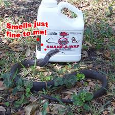 Snake Prevention Treatment