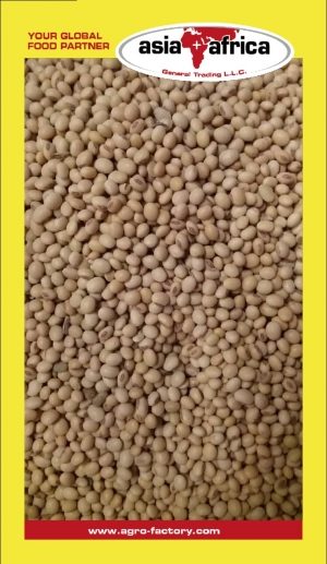 Manufacturers Exporters and Wholesale Suppliers of Soybean U.P. Uttar Pradesh