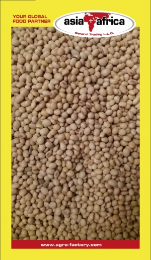 Soybean