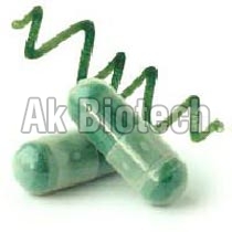 Spirulina Capsules Manufacturer Supplier Wholesale Exporter Importer Buyer Trader Retailer in Salem Tamil Nadu India