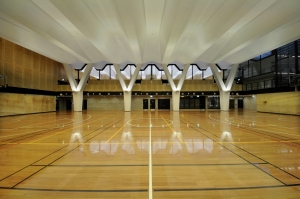 Manufacturers Exporters and Wholesale Suppliers of Sports Flooring Telangana Andhra Pradesh