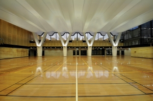 Sports Flooring Manufacturer Supplier Wholesale Exporter Importer Buyer Trader Retailer in Telangana Andhra Pradesh India