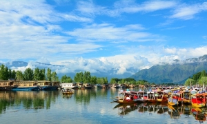 Service Provider of Srinagar Escape Jammu Jammu & Kashmir 