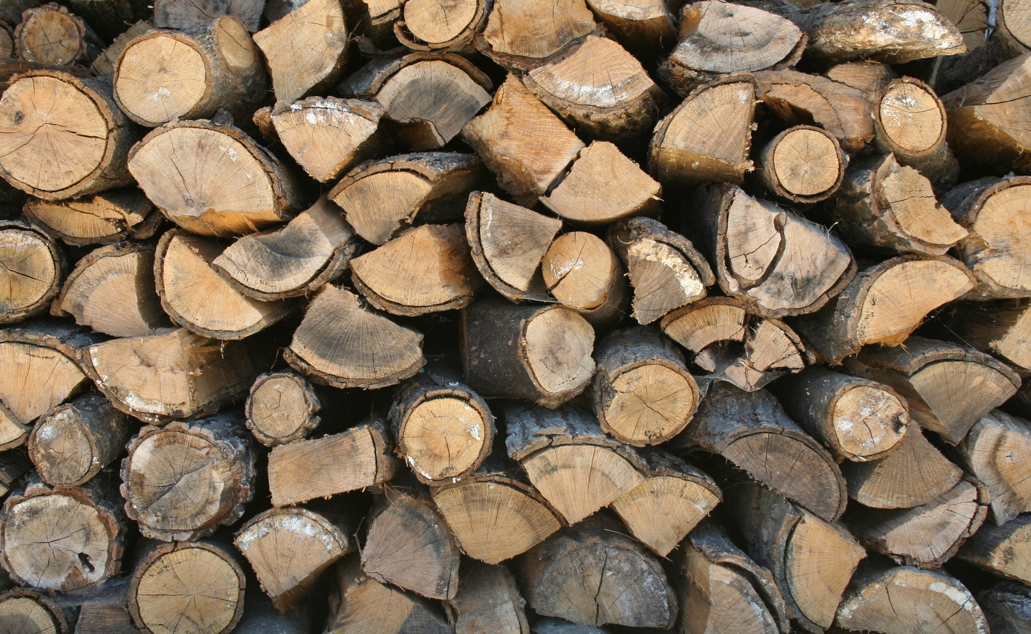 Manufacturers Exporters and Wholesale Suppliers of firewood JODHPUR Rajasthan