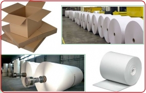 Manufacturers Exporters and Wholesale Suppliers of Starch for Paper and Packaging Gandhinagar Gujarat
