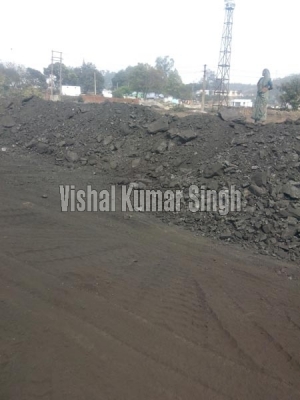 Steam Coal Manufacturer Supplier Wholesale Exporter Importer Buyer Trader Retailer in Ahmedabad Gujarat India