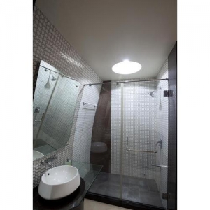 Straight Shower Partition