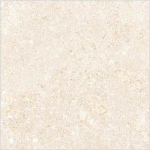 Manufacturers Exporters and Wholesale Suppliers of Suger Series HIimmatnagar Gujarat