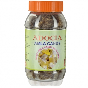 Manufacturers Exporters and Wholesale Suppliers of Sweet Amla Candy New Delhi Delhi