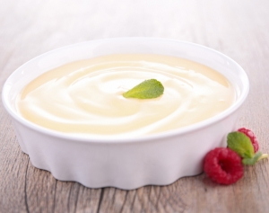 Manufacturers Exporters and Wholesale Suppliers of Instant Vanilla Mousse Mix mumbai Maharashtra