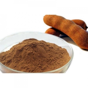 Manufacturers Exporters and Wholesale Suppliers of TAMARIND POWDER Vadodara Gujarat