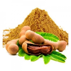 Manufacturers Exporters and Wholesale Suppliers of TAMARIND Vadodara Gujarat