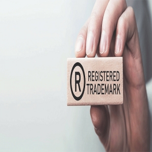 Service Provider of TRADEMARK REGISTRATION Lucknow Uttar Pradesh