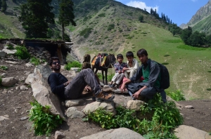 Service Provider of TULAIL GANGABAL NARANAG TREK Manali Himachal Pradesh