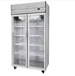 Manufacturers Exporters and Wholesale Suppliers of Two Door Visi Cooler New Delhi Delhi