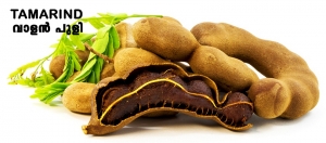 Manufacturers Exporters and Wholesale Suppliers of Tamarind KOCHI Kerala