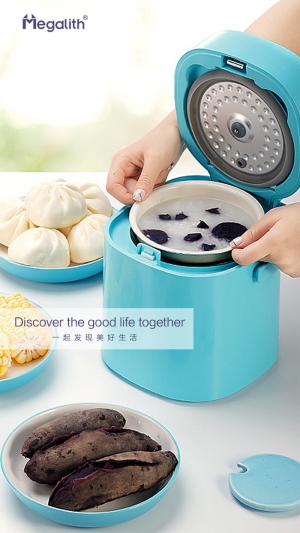 Household Small Rice Cooker