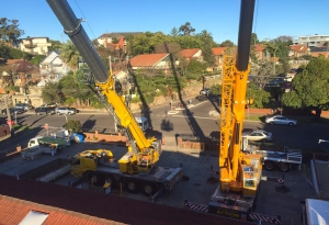 Telescopic Boom Cranes On Hire