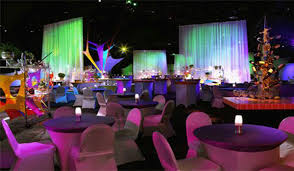 Manufacturers Exporters and Wholesale Suppliers of Theme Party Creators Agra Uttar Pradesh