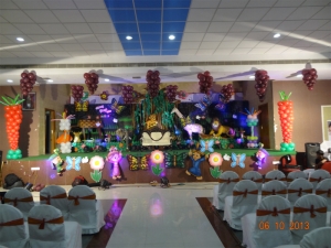 Service Provider of Theme Party Organizers New Delhi Delhi 